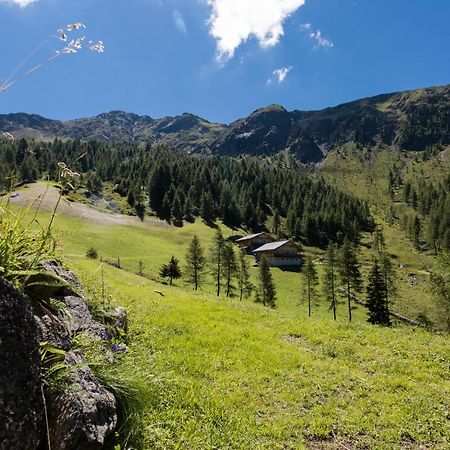 Feldererhof Apt Almenblick Santa Maddalena Zewnętrze zdjęcie