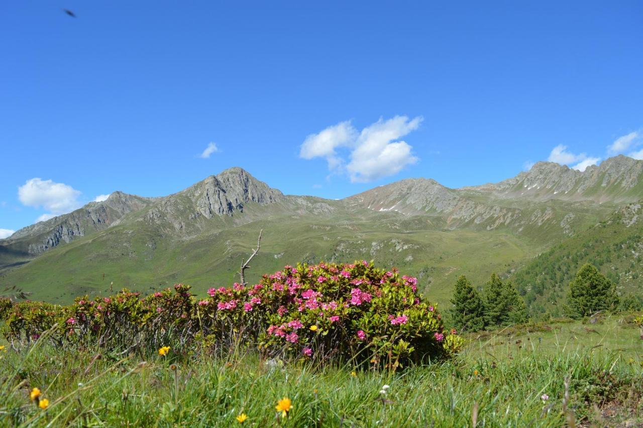 Feldererhof Apt Almenblick Santa Maddalena Zewnętrze zdjęcie